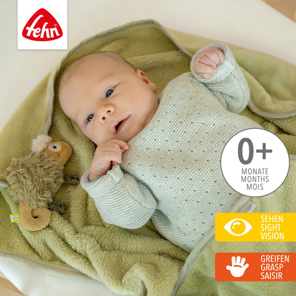 Kuscheldecke Chamäleon