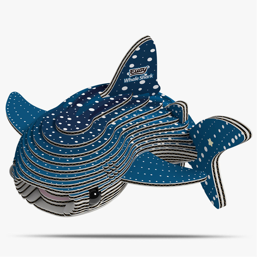 Maquette 3D EUGY 049 Requin-baleine – vue 1