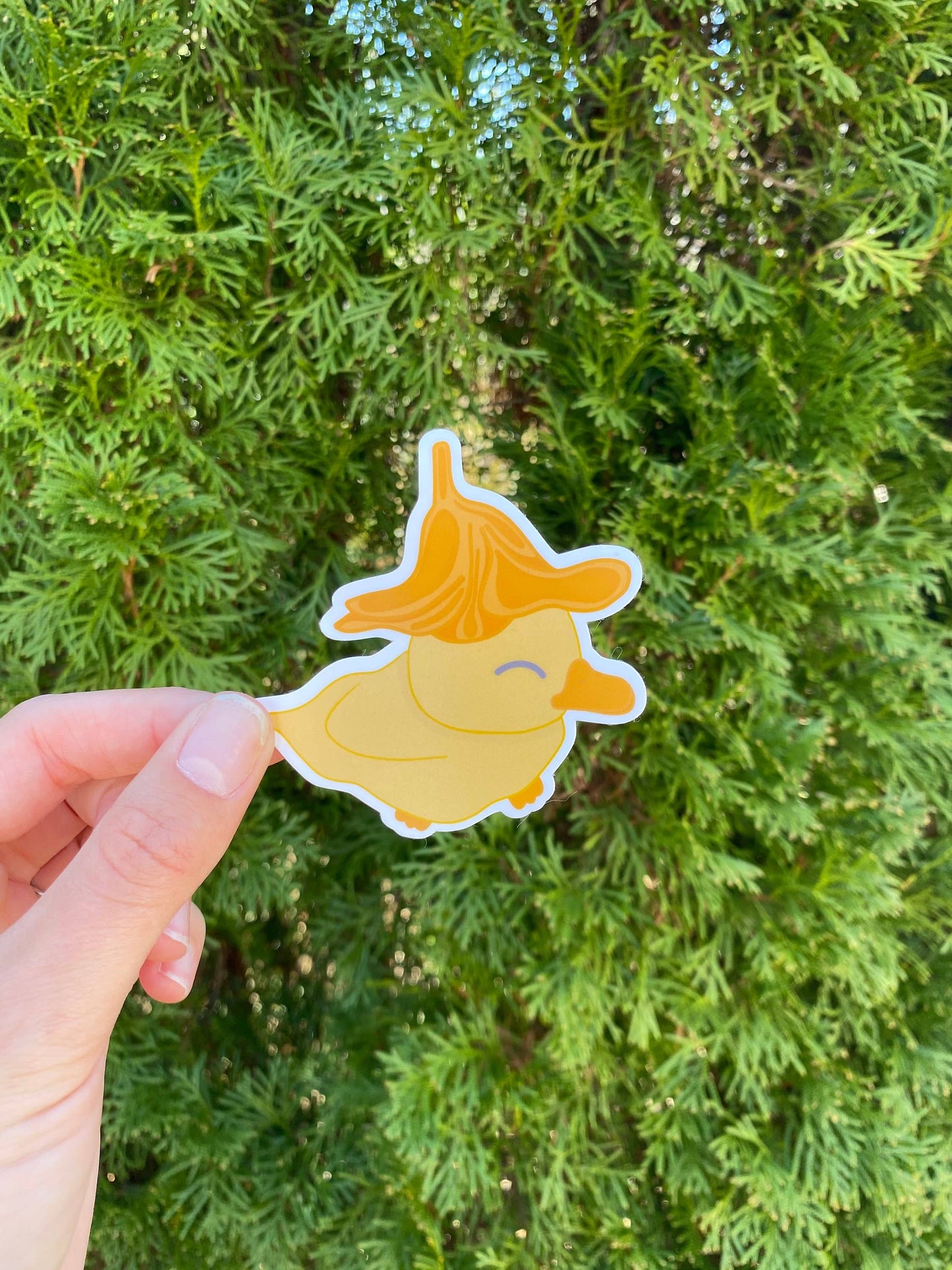 Duck with flower hat