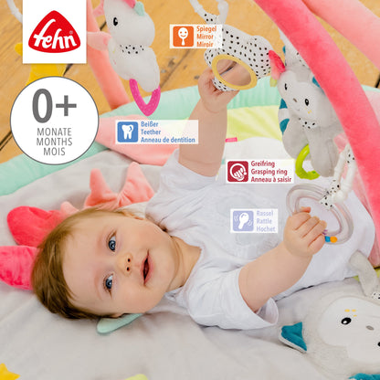 3-D Activity Blanket Aiko & Yuki