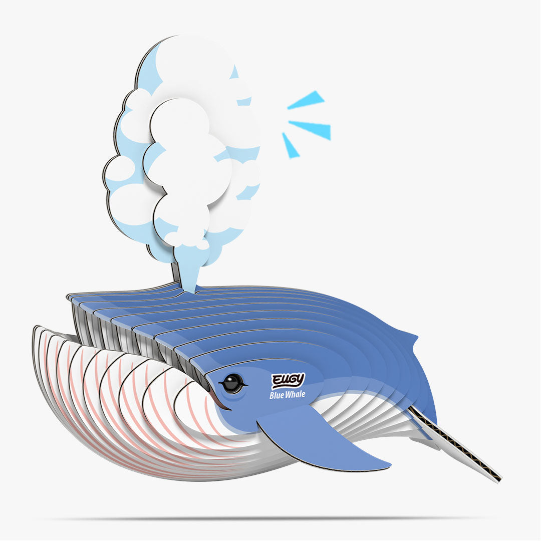 066 Baleine bleue