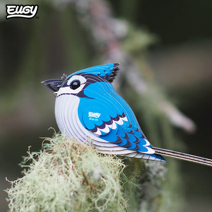 067 Blue Jay