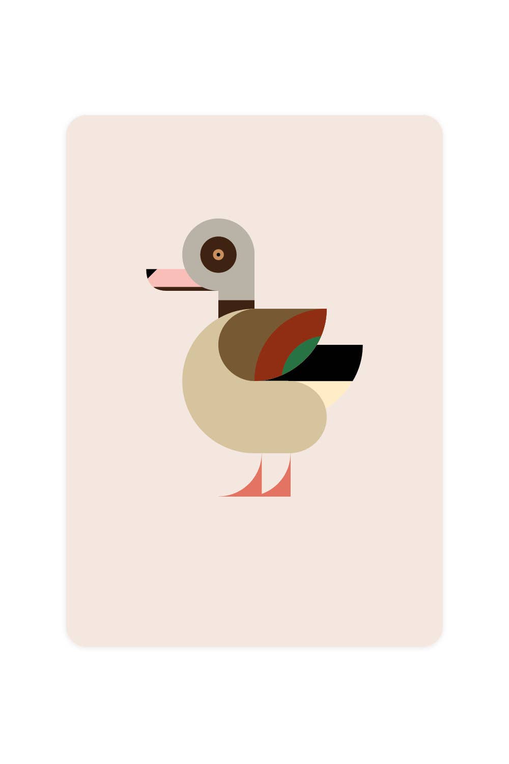 Postal con ganso del Nilo