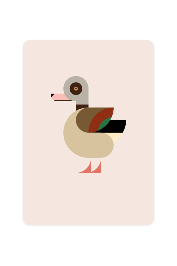 Carte postale avec Nile Goose
