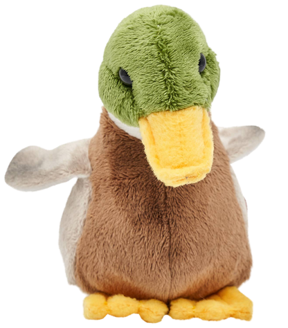 Peluche Canard Colvert
