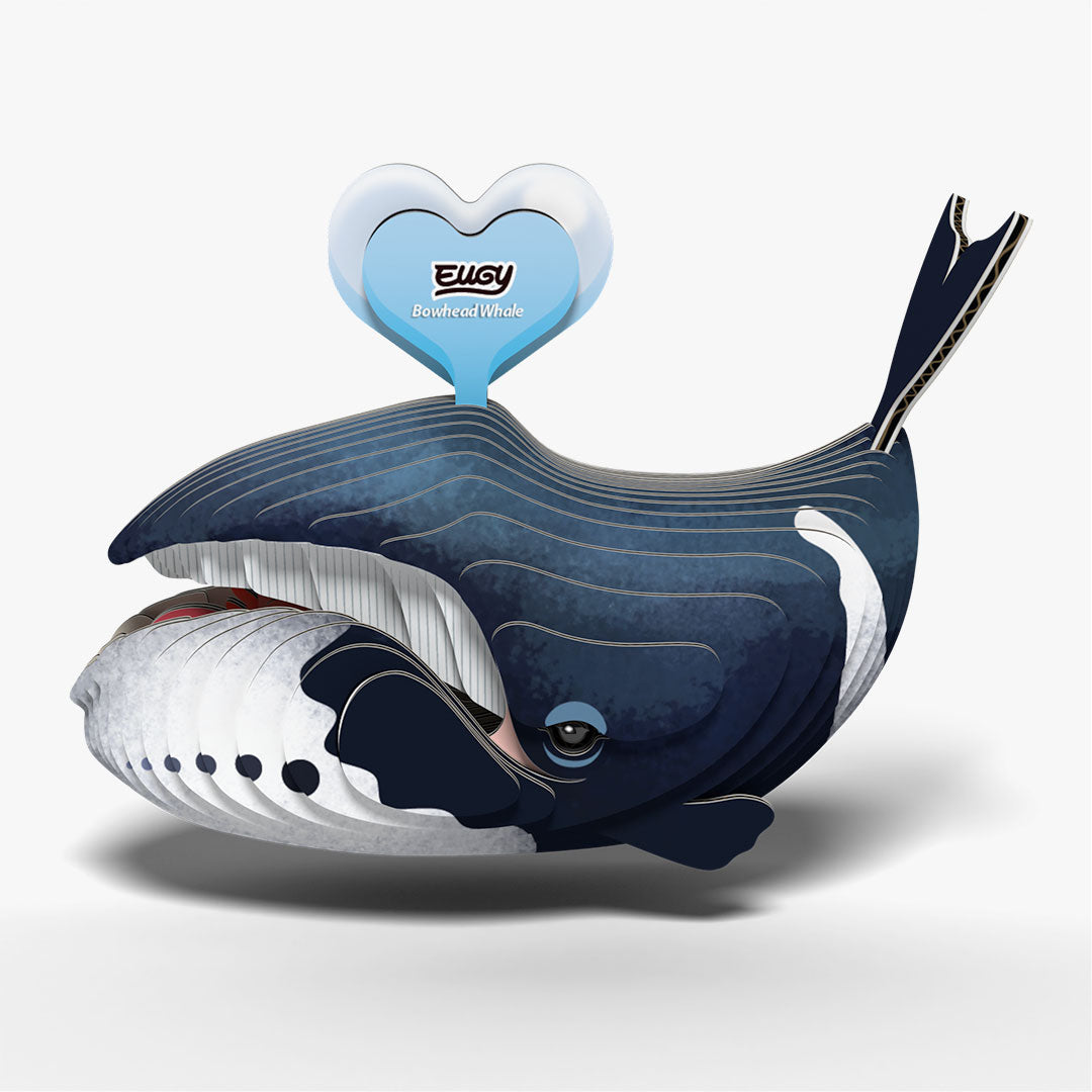 084 Bowhead Whale