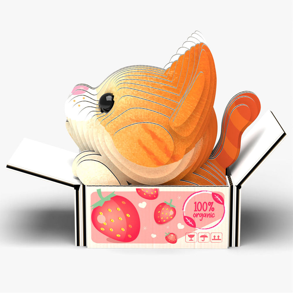 087 Gato Pumpkin