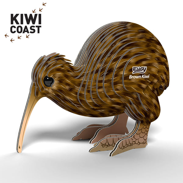 091 Kiwi brun