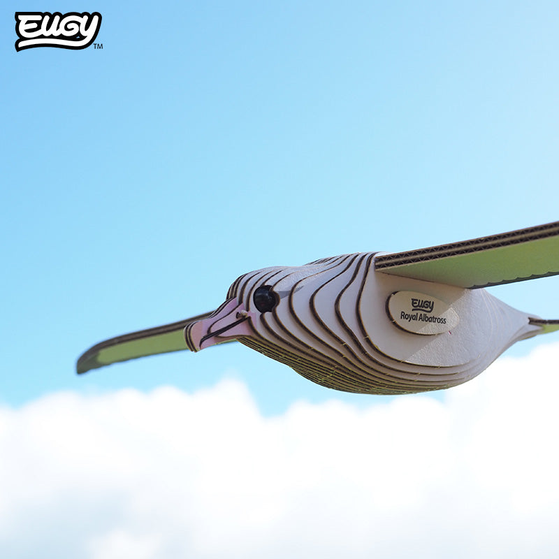 097 Royal Albatross