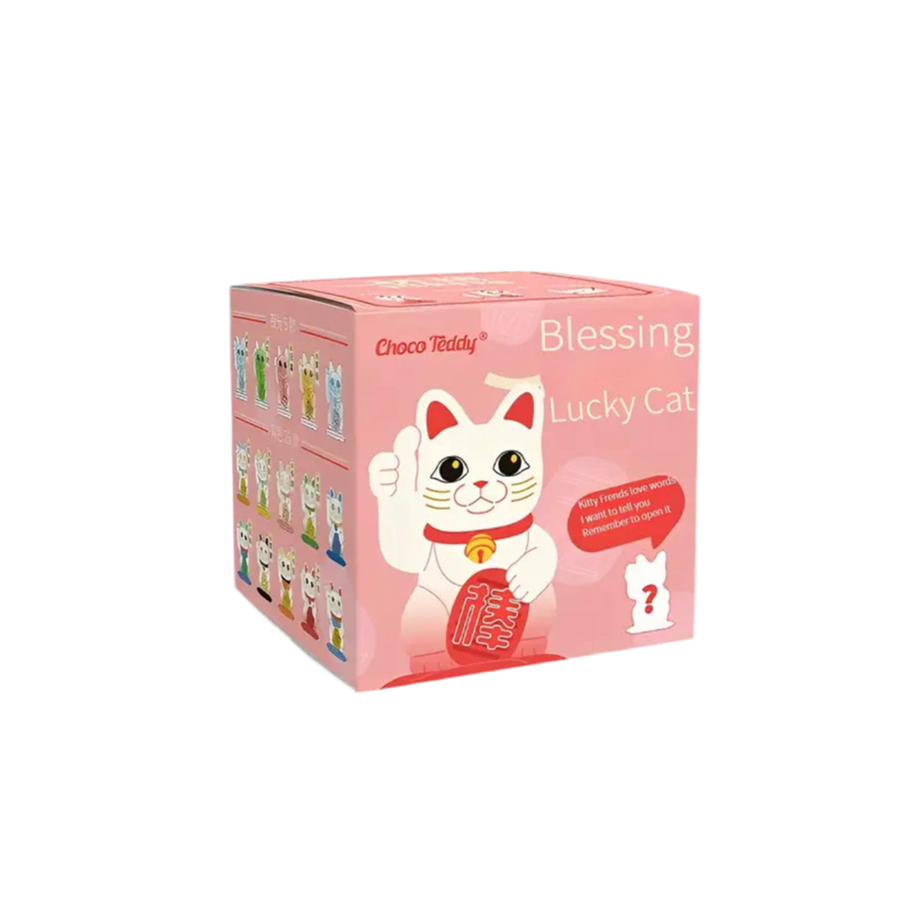 Mini Chat Chanceux Boîte Mystère