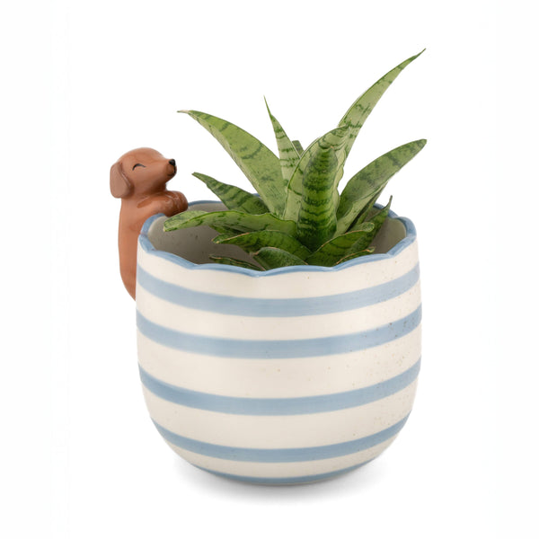Jardinière Teckel Espiègle