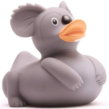 Canard koala
