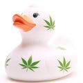 Canard Feuille de Chanvre