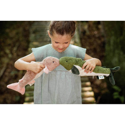 Piccoli teneri pesciolini di abete verde | Senger-Naturwelt