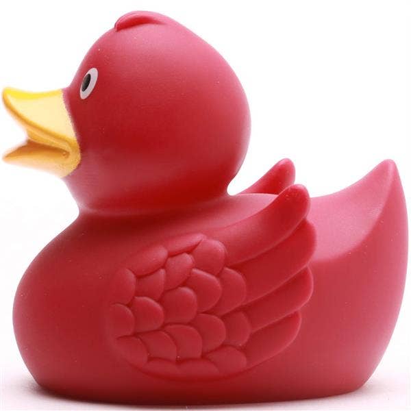 Anatra con ali Bordeaux