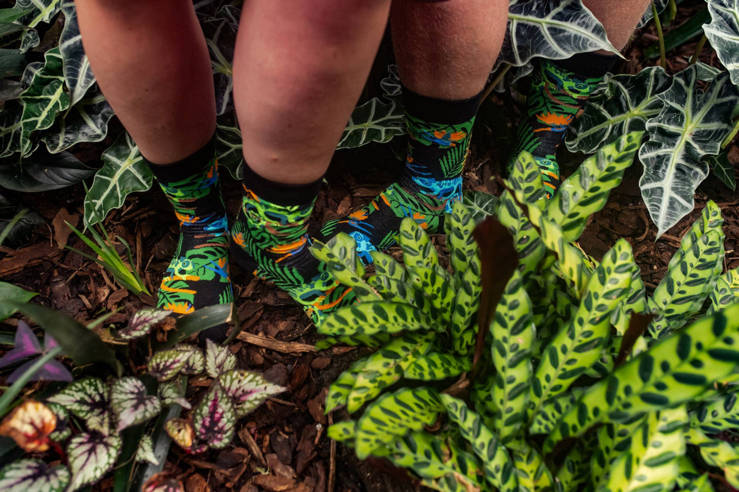 Chameleon Socks