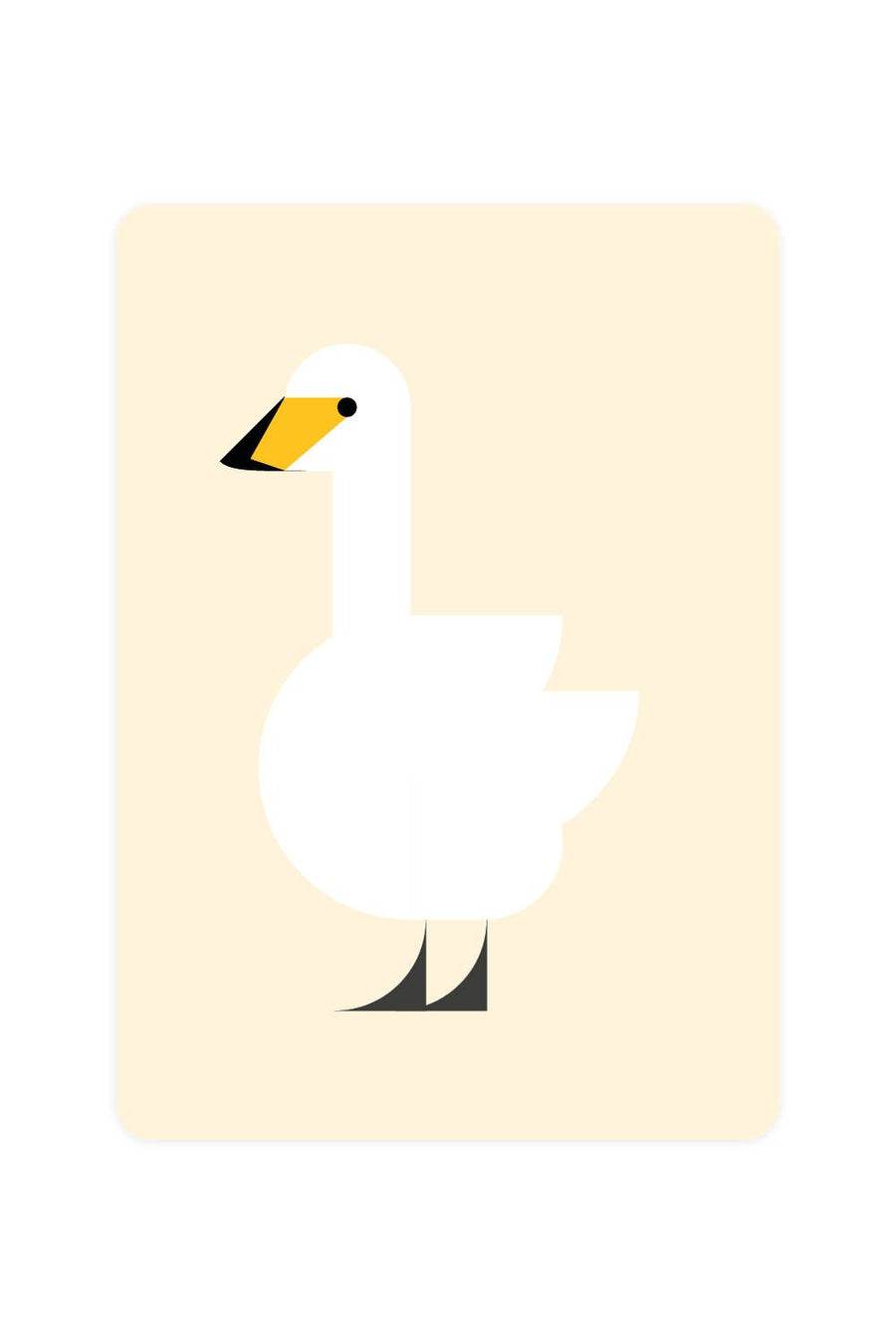 Cisne cantor