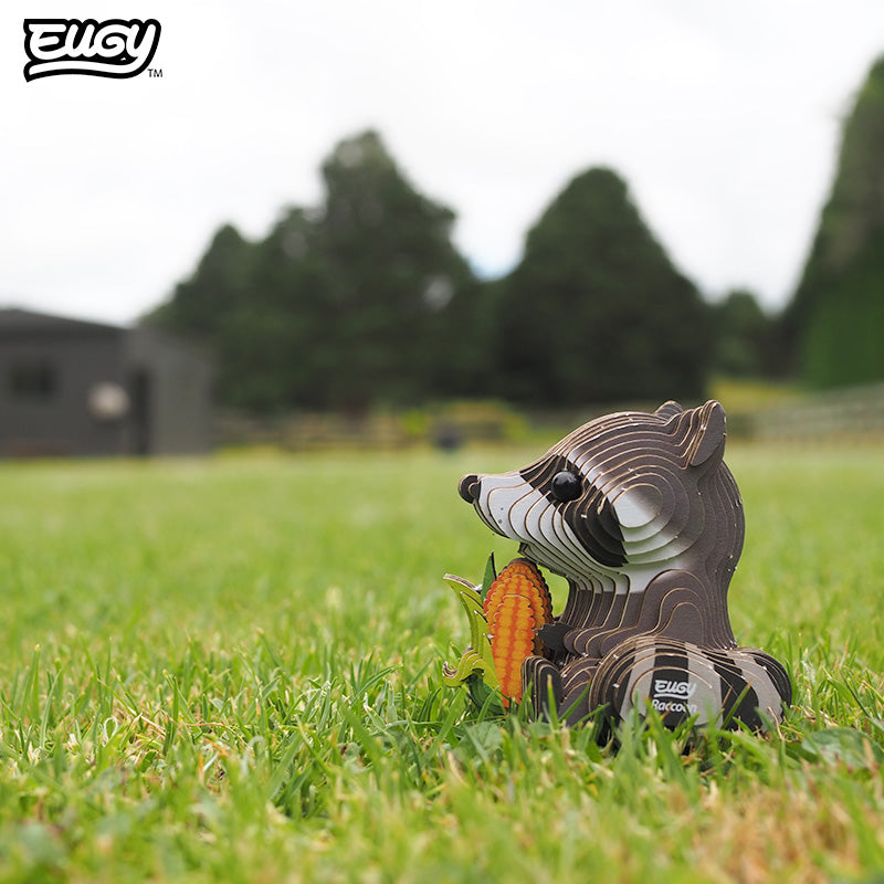 103 Raccoon