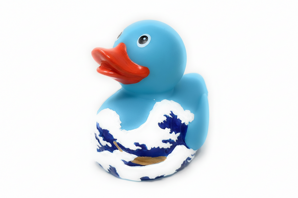 Canard Fuji Wave