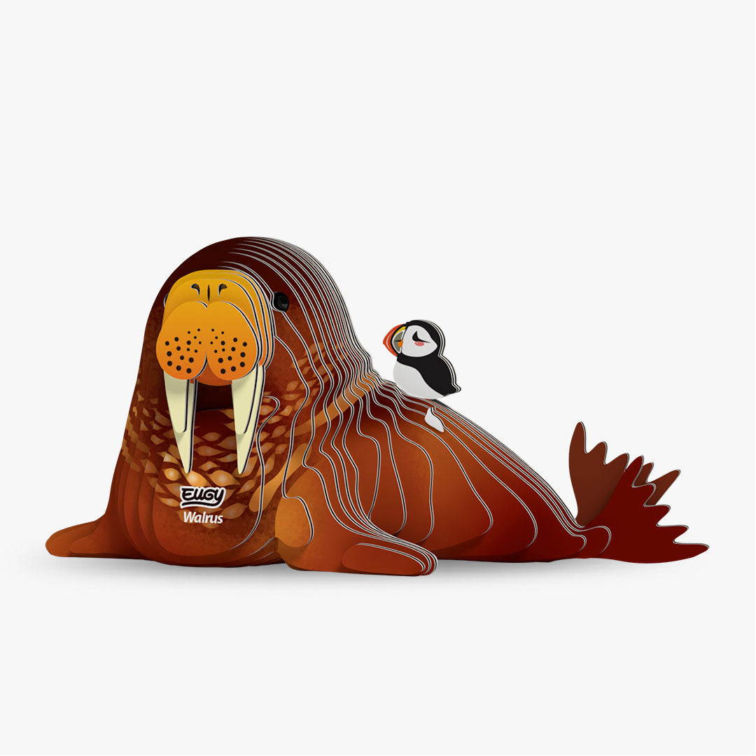 107 Walrus