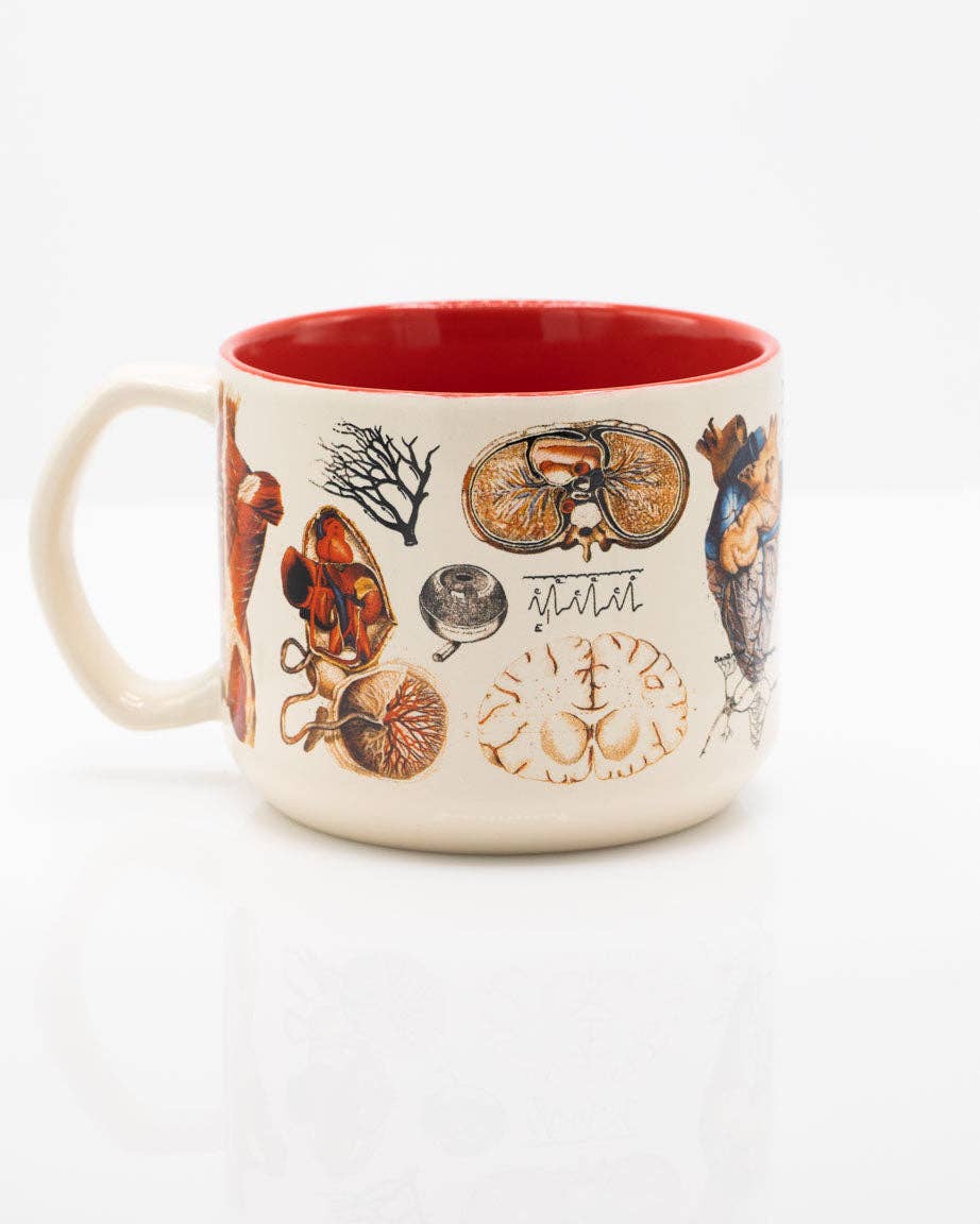 Tazza di anatomia vascolare (430 ml)