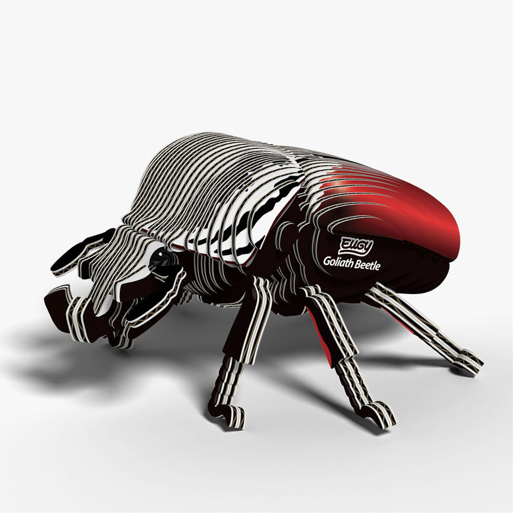 111 Scarabeo Golia