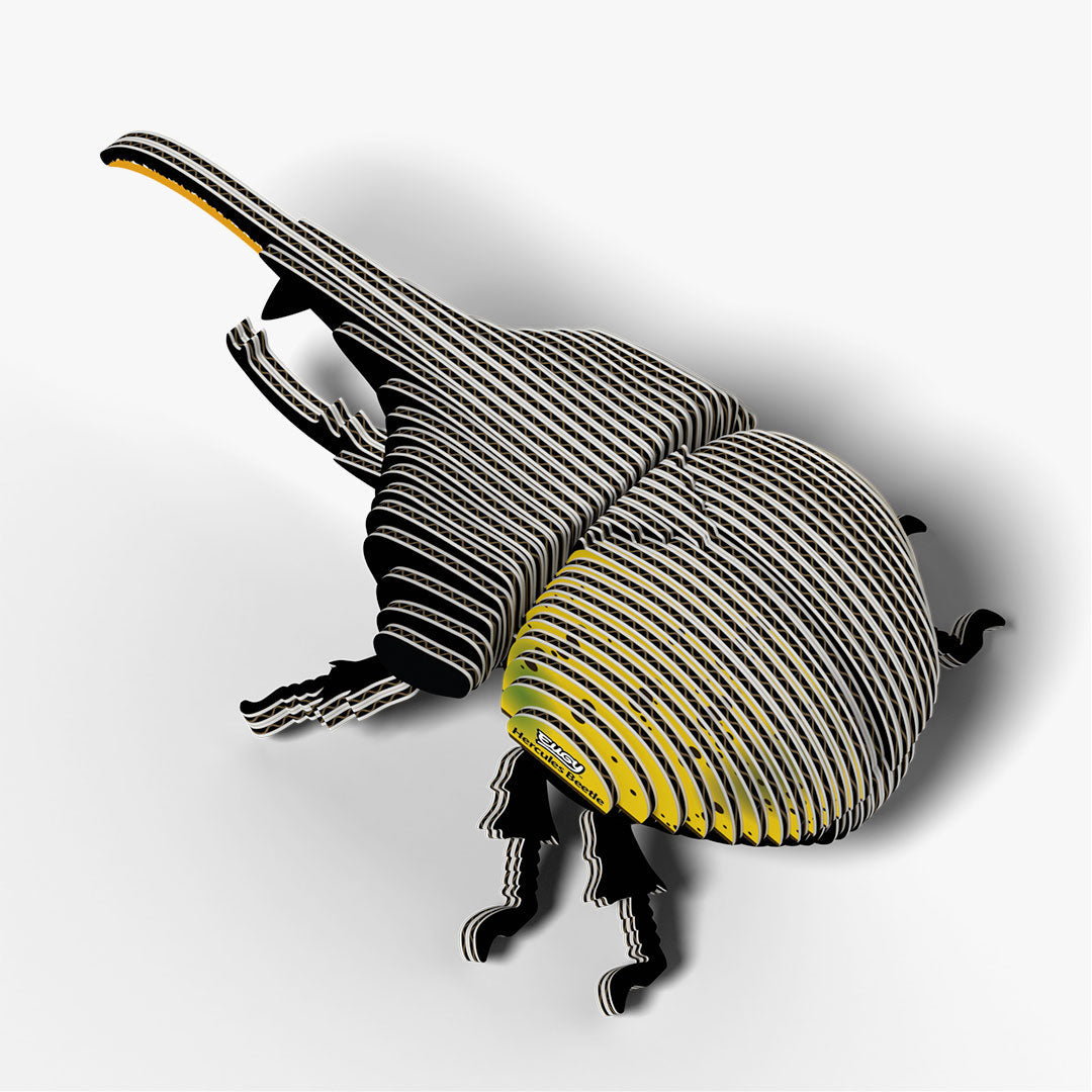 112 Hercules Beetle