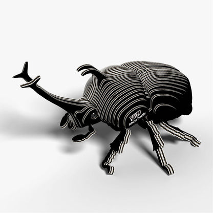 113 Rhino Beetle
