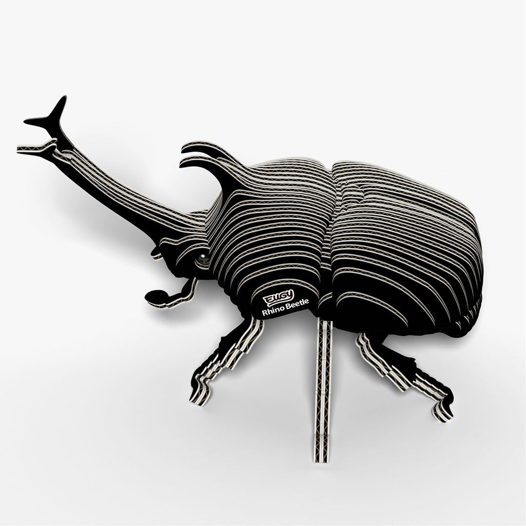 113 Rhino Beetle