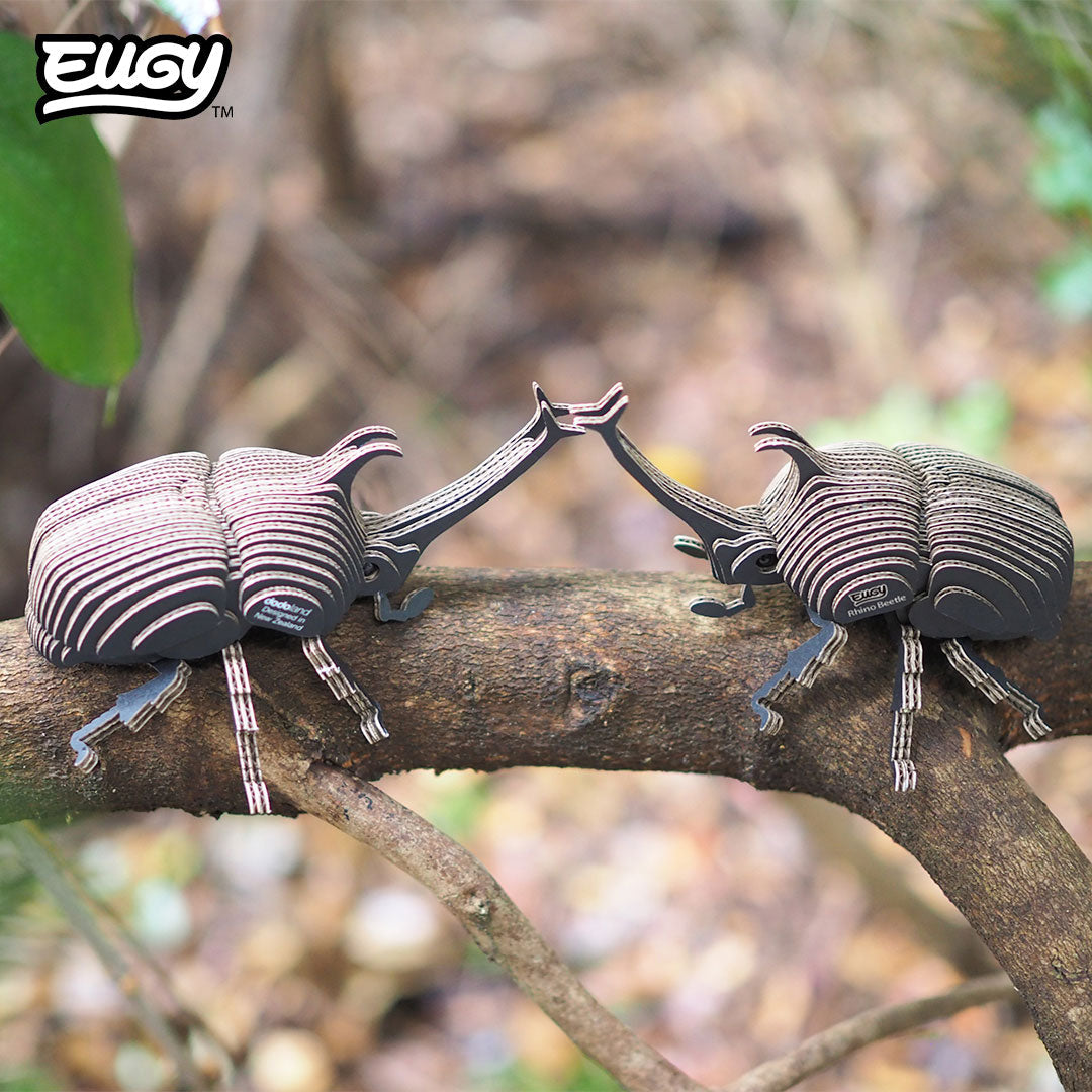113 Rhino Beetle