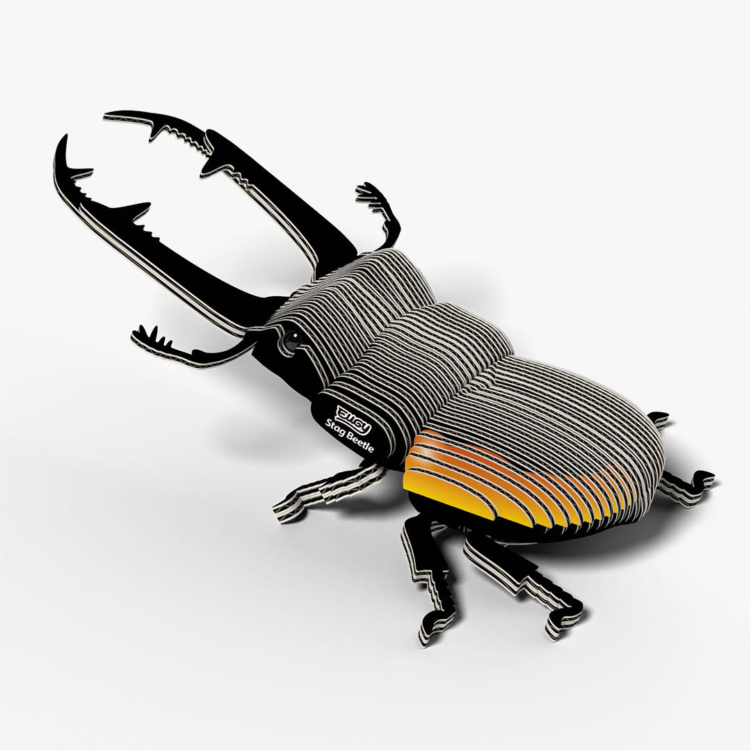 114 Stag Beetle