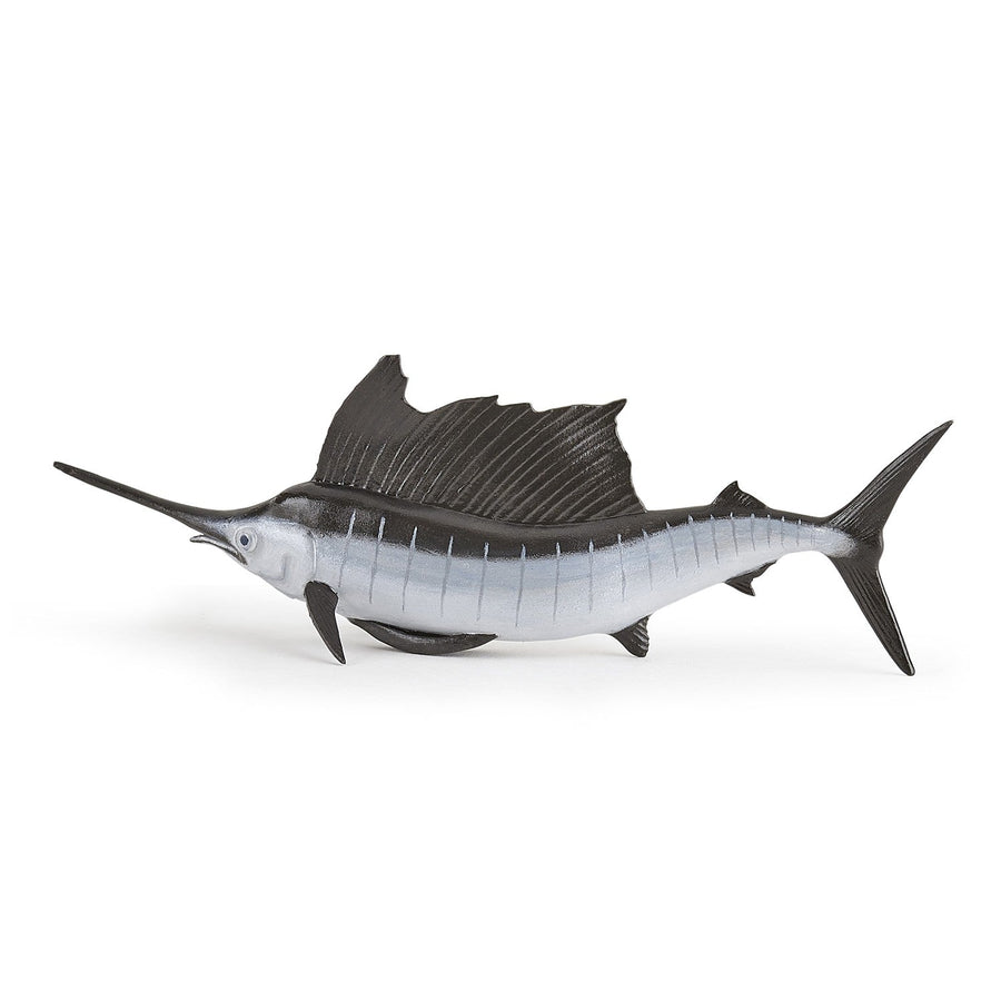 Pesce vela