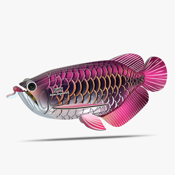 118 Poisson dragon
