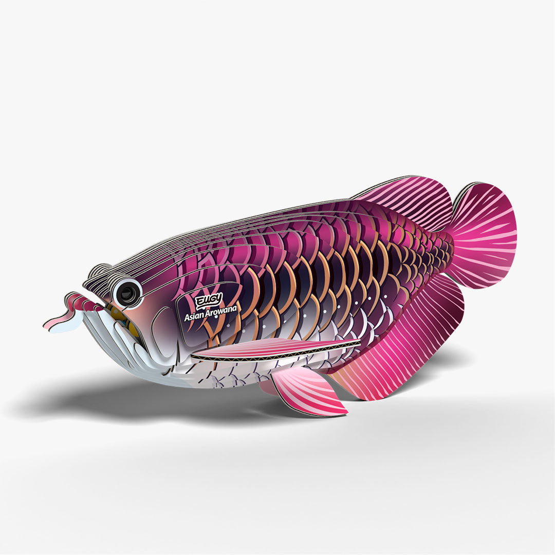 118 Asian Arowana