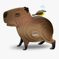 120 Capivara