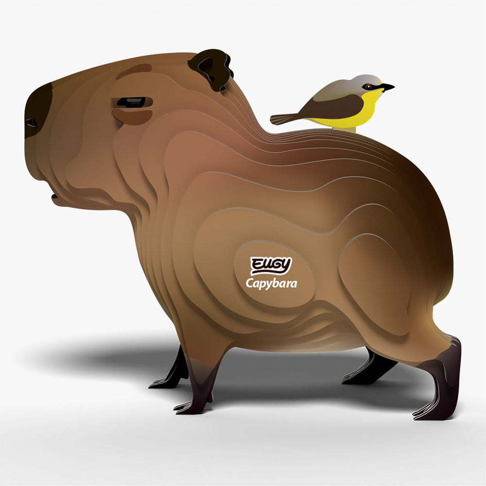 120 Capivara