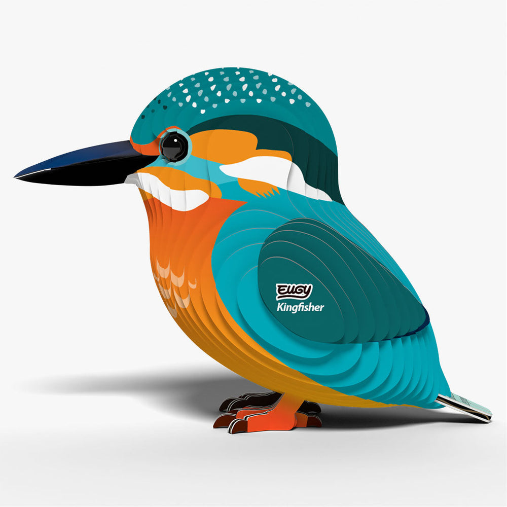 121 Eisvogel