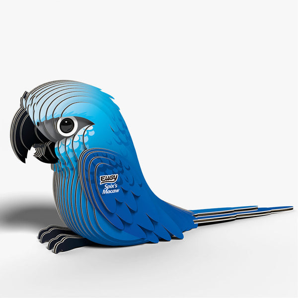 123 Ara de Spix
