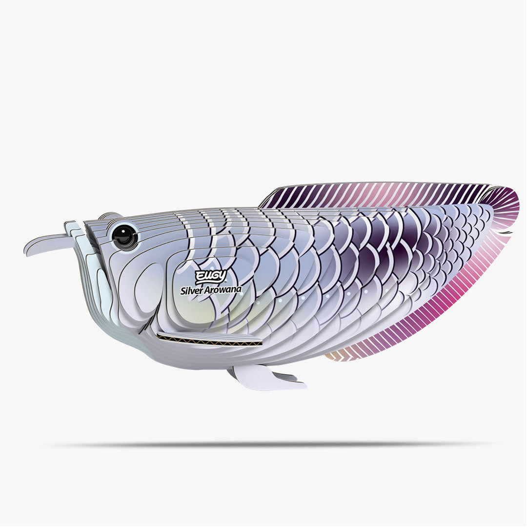 Silber-Arowana