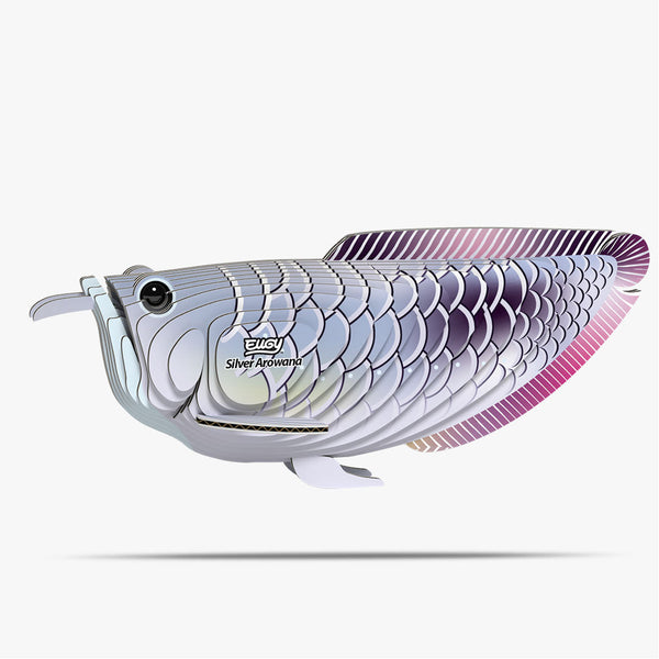 124 Arowana argenté