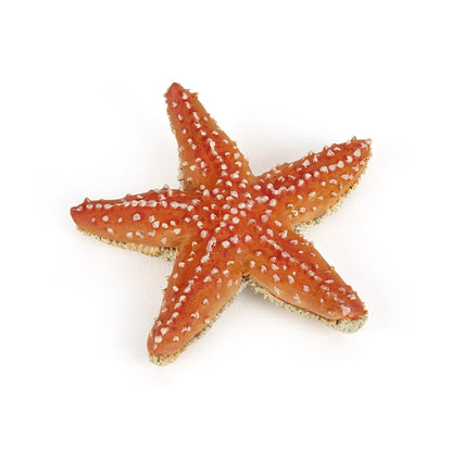 Figurine Etoile de mer