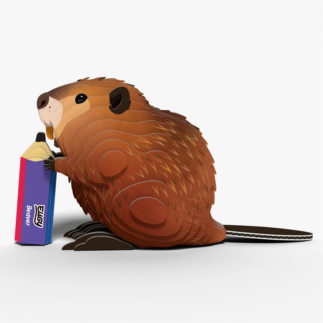 127 Beaver