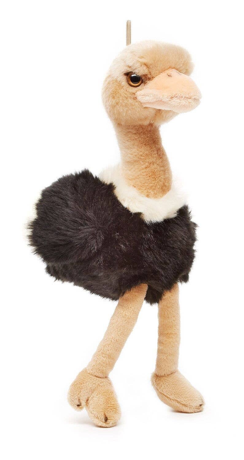 Peluche Autruche Oiseau