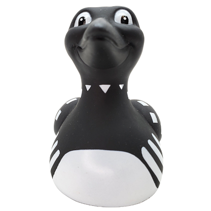 Canard Claire Le huard