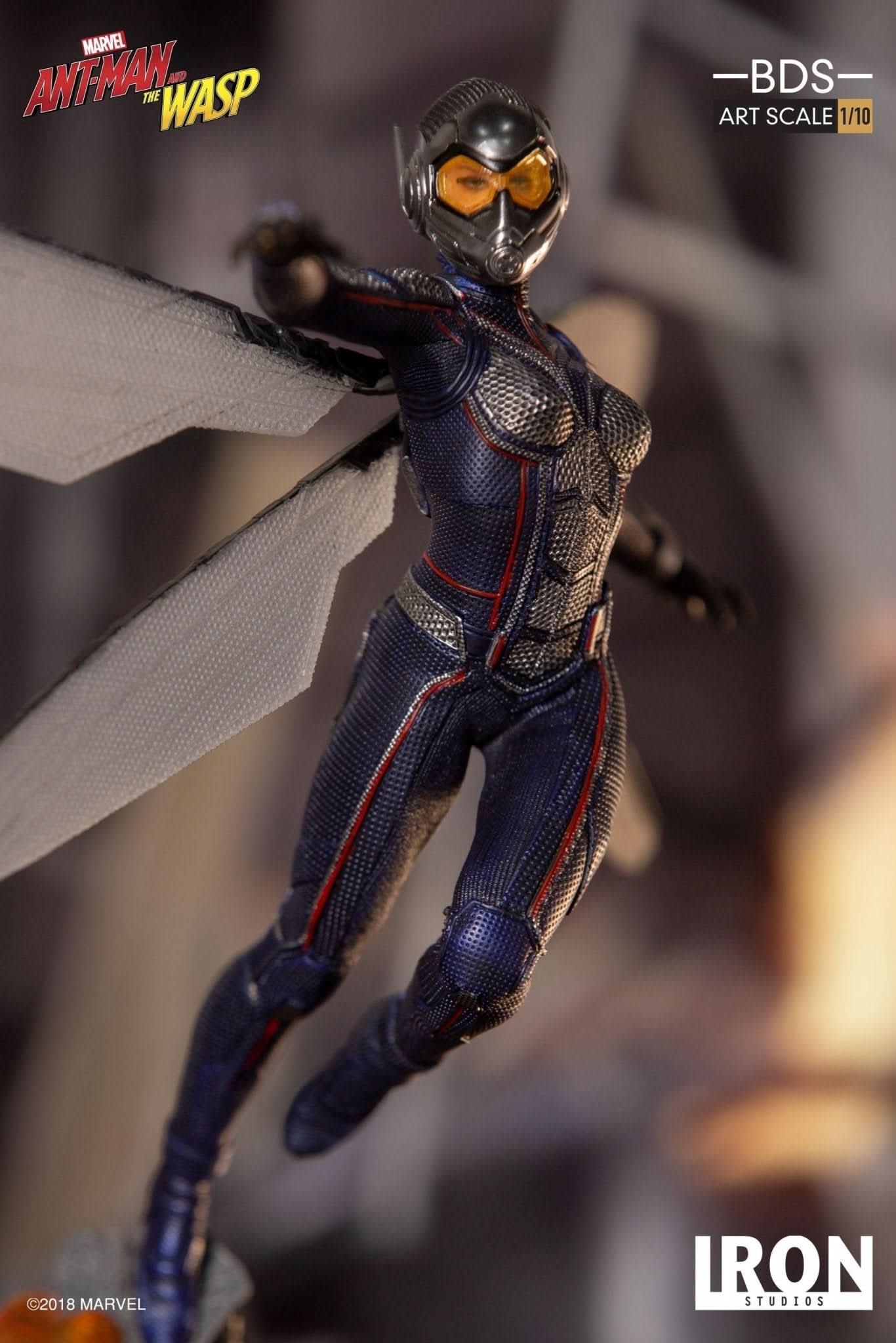 Wasp