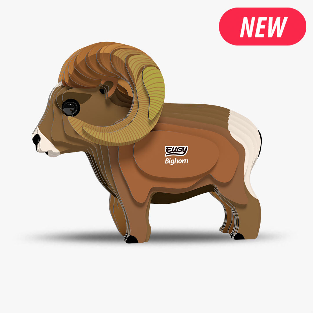 Maquette 3D EUGY 145 Mouflon des Rocheuses – vue 1