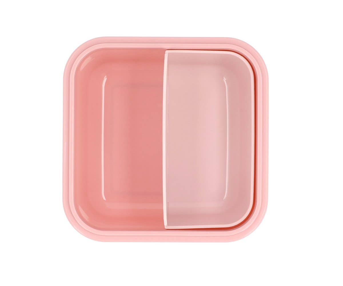 Large Insect Lunch Box