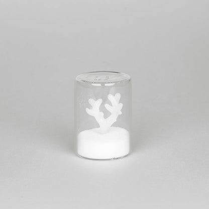 Salière Atlantis Coral