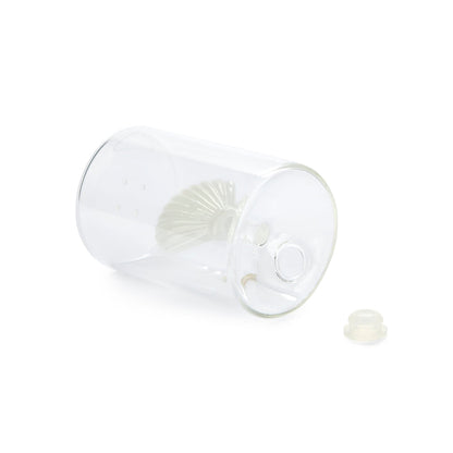 Atlantis Shell Salt Shaker