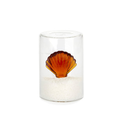 Salière Atlantis Shell